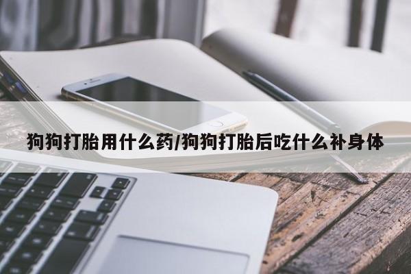 堕胎药使用狗狗打胎用什么药/狗狗打胎后吃什么补身体