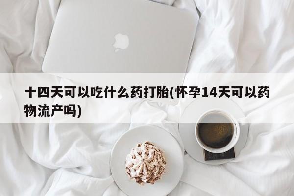 堕胎药使用十四天可以吃什么药打胎(怀孕14天可以药物流产吗)